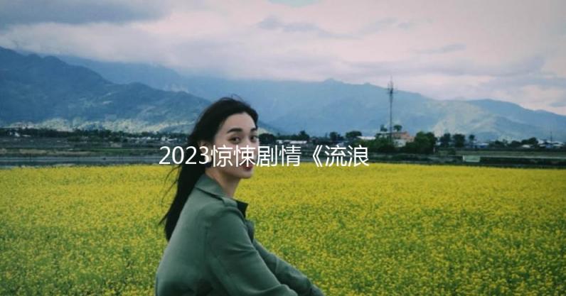 2023惊悚剧情《流浪者》1080p.BD中英双字
